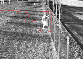 intrusion protection périmétrique