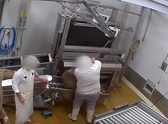 caméra vidéosurveillance abattoir