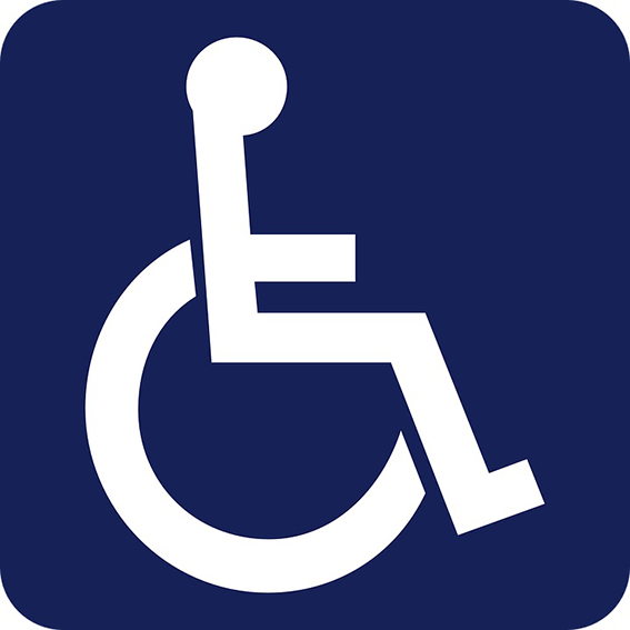 icone handicap